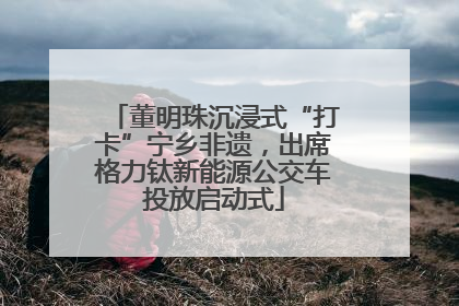 董明珠沉浸式“打卡”宁乡非遗，出席格力钛新能源公交车投放启动式