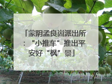 蒙阴孟良崮派出所：“小推车”推出平安好“枫”景