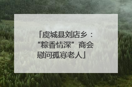 虞城县刘店乡：“粽香情深”商会慰问孤寡老人