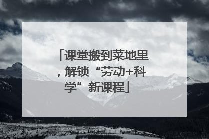 课堂搬到菜地里，解锁“劳动+科学”新课程
