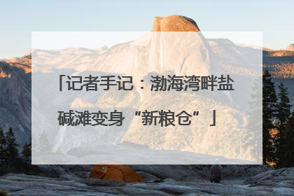 记者手记：渤海湾畔盐碱滩变身“新粮仓”