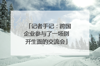 记者手记：跨国企业参与了一场别开生面的交流会