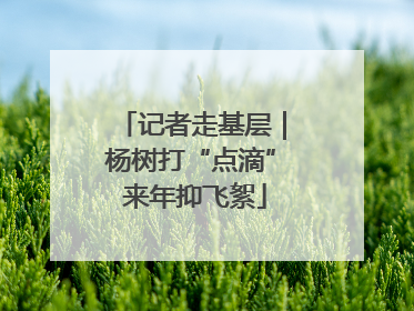 记者走基层｜杨树打“点滴” 来年抑飞絮