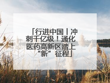 行进中国丨冲刺千亿级！通化医药高新区踏上“新”征程