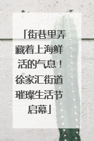 街巷里弄藏着上海鲜活的气息！徐家汇街道璀璨生活节启幕