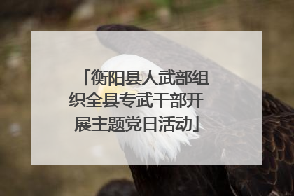 衡阳县人武部组织全县专武干部开展主题党日活动