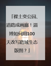 裸土变公园、道路成画廊！淄博如何用100天改写路域生态版图？