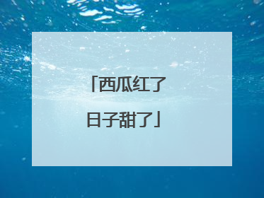 西瓜红了 日子甜了