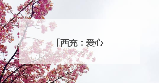 西充：爱心送考在路上