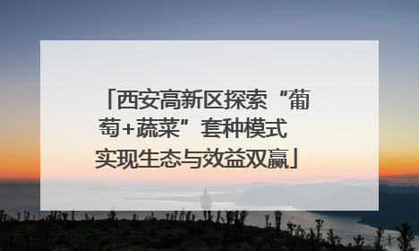 西安高新区探索“葡萄+蔬菜”套种模式 实现生态与效益双赢