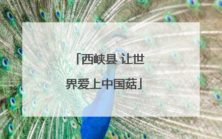 西峡县 让世界爱上中国菇