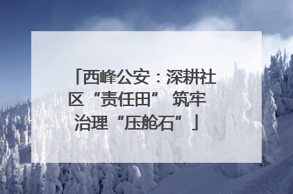 西峰公安：深耕社区“责任田” 筑牢治理“压舱石”