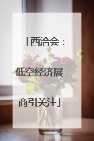 西洽会：低空经济展商引关注