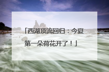 西湖顶流回归：今夏第一朵荷花开了！