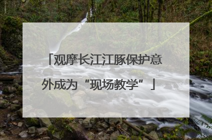 观摩长江江豚保护意外成为“现场教学”