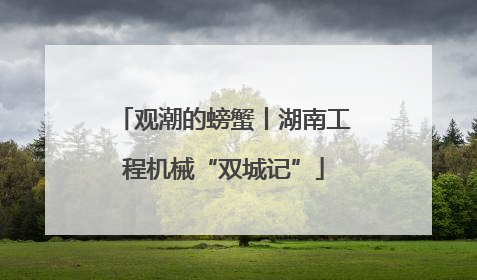 观潮的螃蟹丨湖南工程机械“双城记”