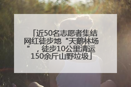 近50名志愿者集结网红徒步地“天鹅林场”，徒步10公里清运150余斤山野垃圾