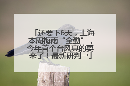 还要下6天，上海本周梅雨“全勤”，今年首个台风真的要来了！最新研判→