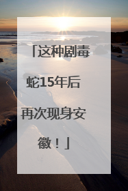 这种剧毒蛇15年后再次现身安徽！