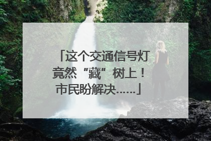 这个交通信号灯竟然“藏”树上！市民盼解决……