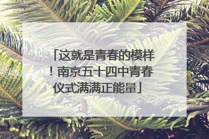 这就是青春的模样！南京五十四中青春仪式满满正能量