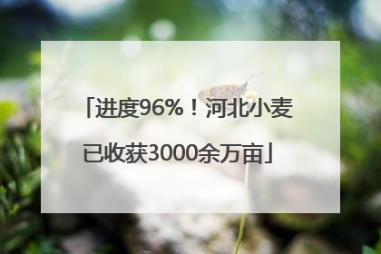 进度96%！河北小麦已收获3000余万亩