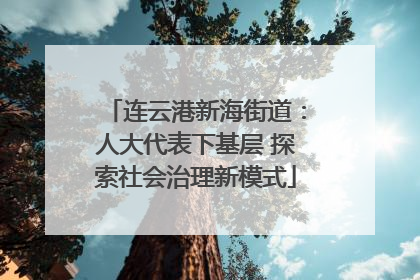 连云港新海街道：人大代表下基层 探索社会治理新模式