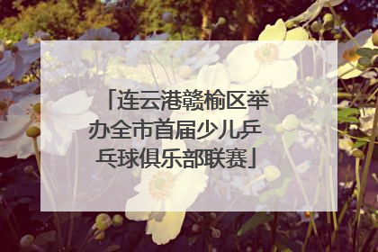 连云港赣榆区举办全市首届少儿乒乓球俱乐部联赛