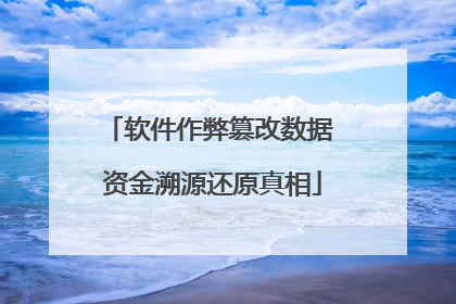 软件作弊篡改数据 资金溯源还原真相