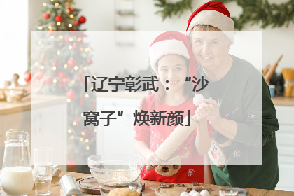 辽宁彰武：“沙窝子”焕新颜