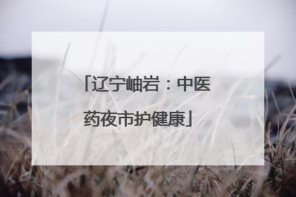 辽宁岫岩：中医药夜市护健康