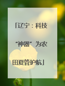 辽宁：科技“神器”为农田夏管护航
