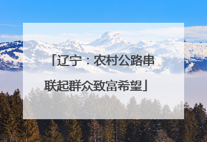 辽宁：农村公路串联起群众致富希望