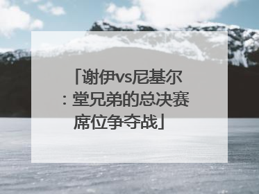谢伊vs尼基尔：堂兄弟的总决赛席位争夺战