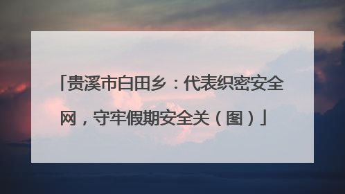 贵溪市白田乡：代表织密安全网，守牢假期安全关（图）