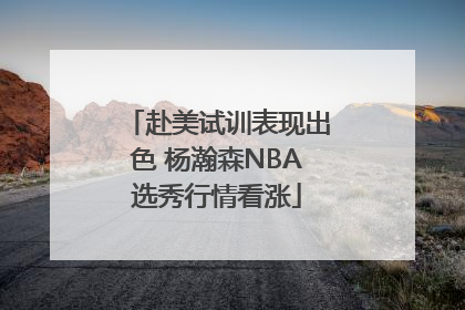 赴美试训表现出色 杨瀚森NBA选秀行情看涨