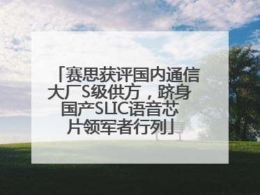 赛思获评国内通信大厂S级供方，跻身国产SLIC语音芯片领军者行列