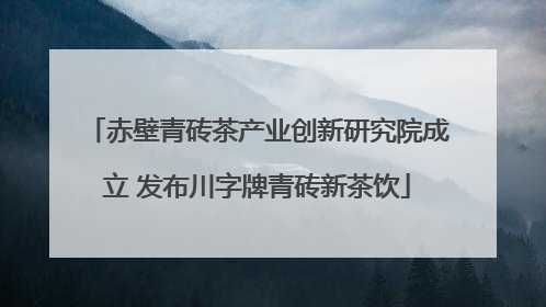 赤壁青砖茶产业创新研究院成立 发布川字牌青砖新茶饮