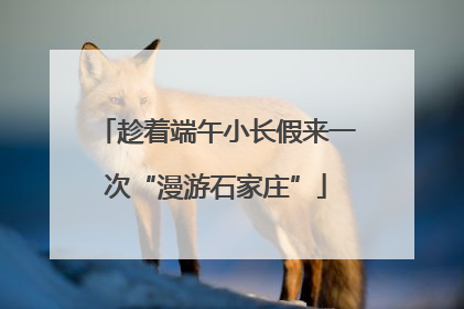 趁着端午小长假来一次“漫游石家庄”
