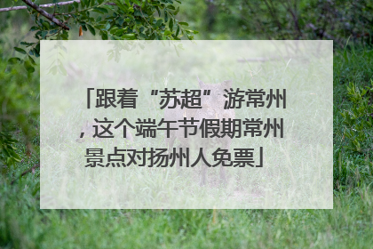 跟着“苏超”游常州，这个端午节假期常州景点对扬州人免票
