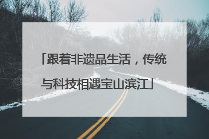 跟着非遗品生活，传统与科技相遇宝山滨江