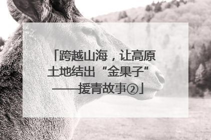 跨越山海，让高原土地结出“金果子”——援青故事②