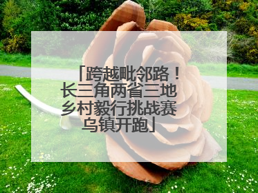 跨越毗邻路！长三角两省三地乡村毅行挑战赛乌镇开跑