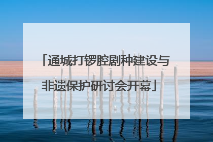 通城打锣腔剧种建设与非遗保护研讨会开幕