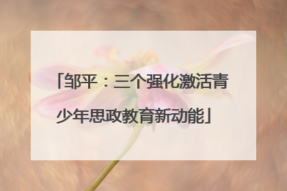 邹平：三个强化激活青少年思政教育新动能