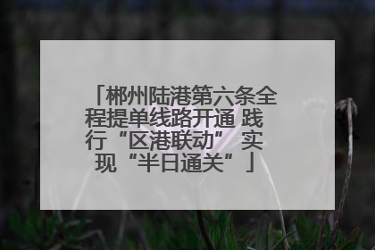 郴州陆港第六条全程提单线路开通 践行“区港联动” 实现“半日通关”