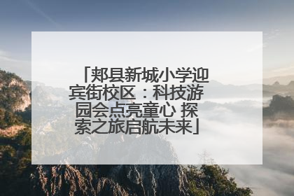 郏县新城小学迎宾街校区：科技游园会点亮童心 探索之旅启航未来