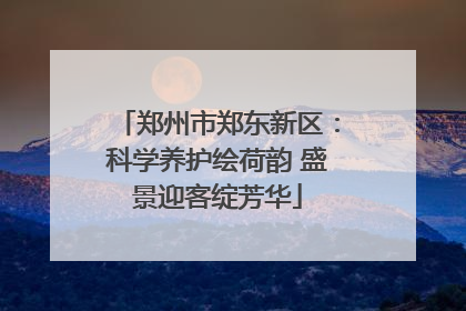 郑州市郑东新区：科学养护绘荷韵 盛景迎客绽芳华