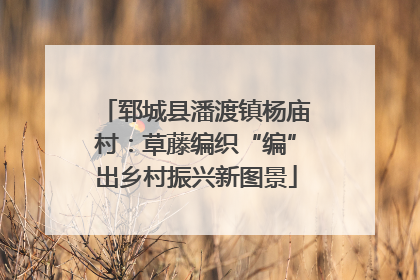 郓城县潘渡镇杨庙村：草藤编织“编”出乡村振兴新图景