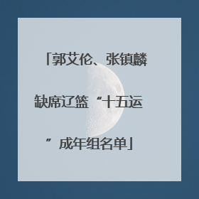 郭艾伦、张镇麟缺席辽篮“十五运”成年组名单